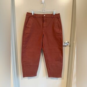 Everlane Women’s Utility Barrel-Leg Pant in Rosewood - size 16